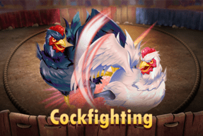 Cockfighting thumbnail