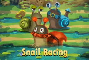 Snail Racing