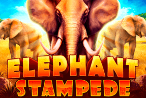 Elephant Stampede