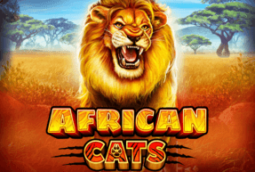African Cats