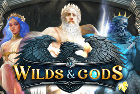 Wilds and gods thumbnail