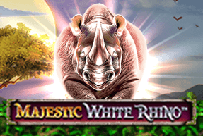 Play Majestic White Rhino
