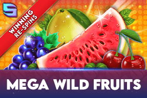 Play Mega Wild Fruits