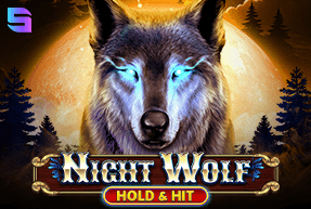 Play Night Wolf - Hold & Hit