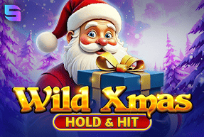 Play Wild Xmas - Hold & Hit