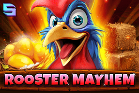 Play Rooster Mayhem