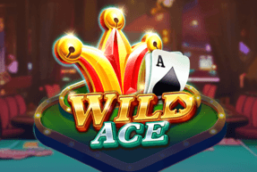Wild Racer