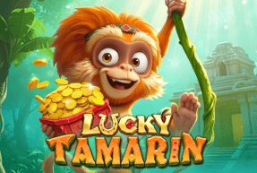 Lucky Tamarin