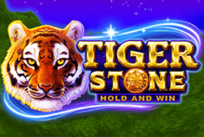 Tiger stone thumbnail