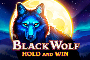 Black wolf thumbnail