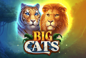 Big Cats Big Cats