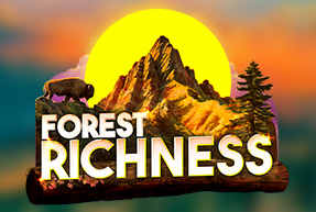 Forest richness thumbnail