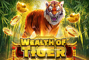 Wealth of Tiger