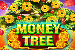 Money Tree
