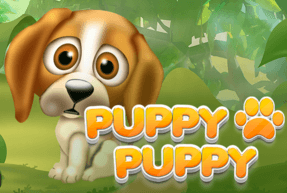 Puppy Puppy