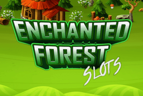 Enchanted Forest