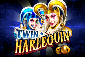 Twin harlequin thumbnail
