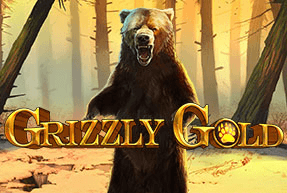 Grizzly gold thumbnail