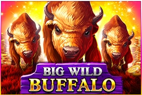 Big wild buffalo thumbnail