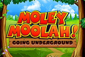 Moley moolah thumbnail