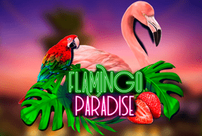 Flamingo paradise thumbnail