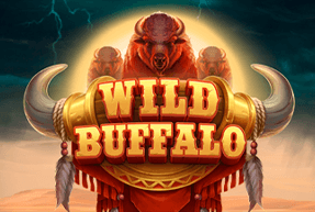 Wild buffalo thumbnail