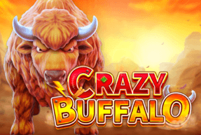 Crazy buffalo thumbnail