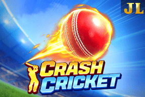 Crash Cricket Mobile