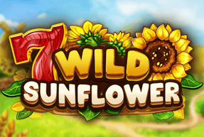 Wild sunflower thumbnail