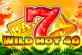 Wild hot 40 christmas thumbnail