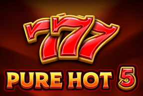Pure hot 5 thumbnail