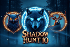 Shadow hunt 10 thumbnail