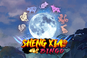 Sheng Xiao Bingo Mobile